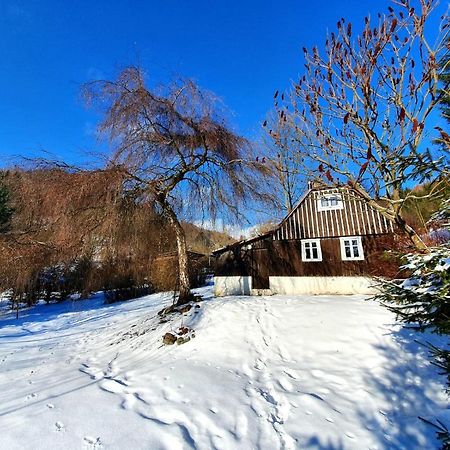 Chaloupka Villa Zacler Exterior photo